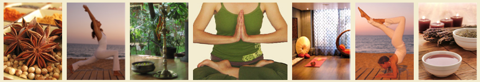 Yoga – Sonja Schuster Yoga - Sonja Schuster